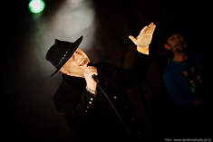 koncert kozy
