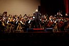 Szkolny Koncert Karnawałowy - POSM Bielsko-Biała 7