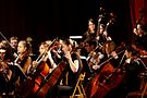 Szkolny Koncert Karnawałowy - POSM Bielsko-Biała 9