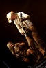 REDNEX 24