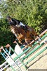 Zawody Jeździeckie - Puchary 2009 / Czanki 13
