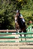 Zawody Jeździeckie - Puchary 2009 / Czanki 26