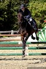 Zawody Jeździeckie - Puchary 2009 / Czanki 28